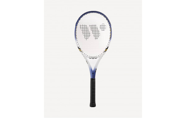 Ракетка для большого тенниса Wish Air Flex 818 27", синий\белый 600_380