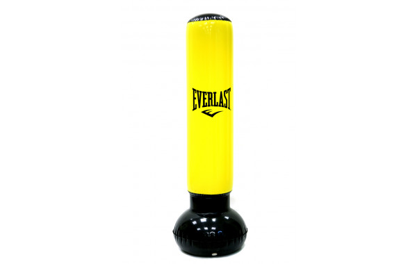 Мешок надувной Everlast Power Tower FM-1066TP 600_380