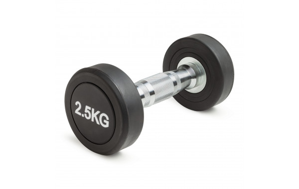 Гантель неразборная круглая 2,5 кг VictoryFit VF-R025 600_380