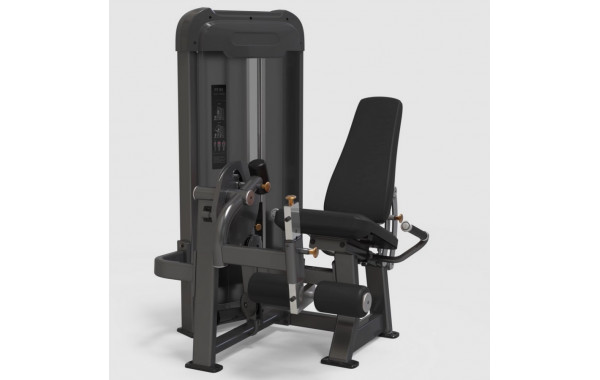 Разгибание ног AnyFit PE201-96 600_380