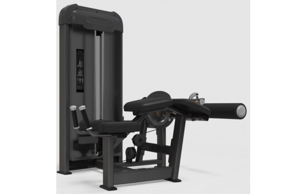 Сгибание ног AnyFit PE203-84 600_380