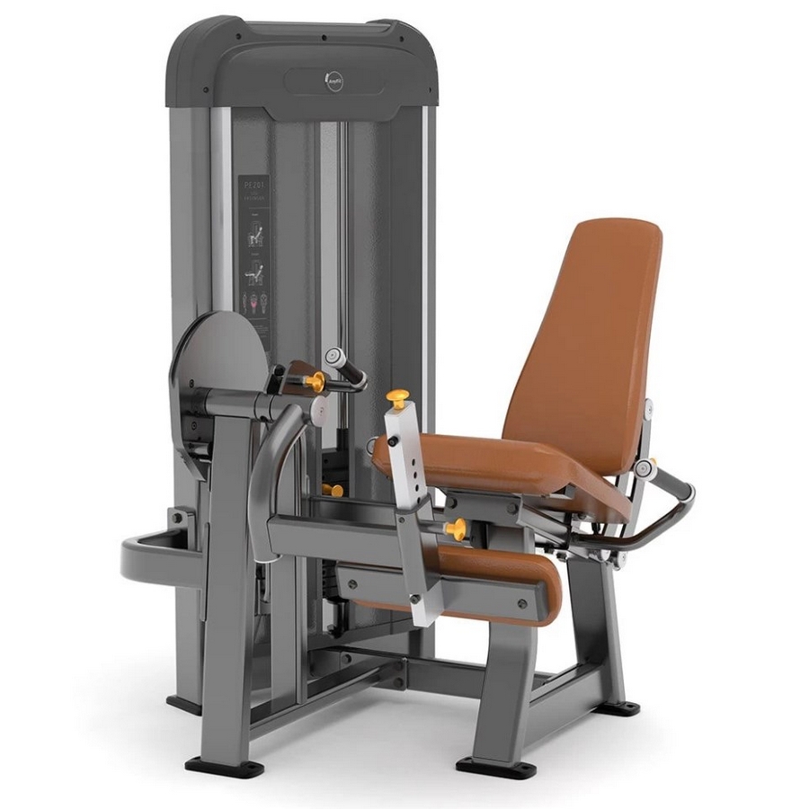 Разгибание ног AnyFit PE201-96 900_900