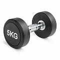 Гантель неразборная круглая 5 кг VictoryFit VF-R050 120_120